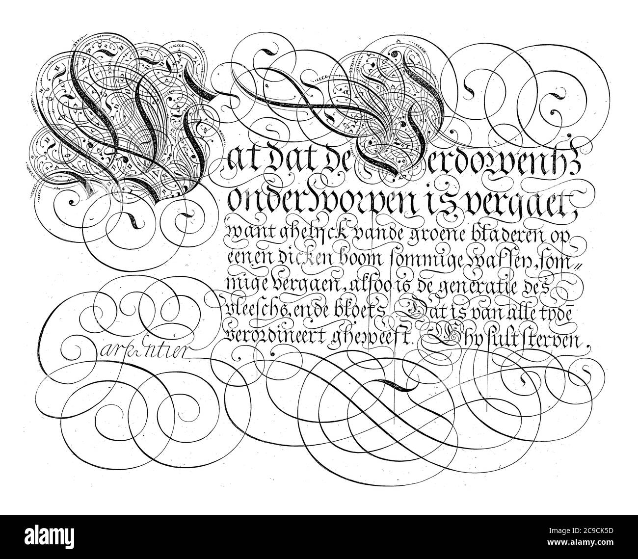 Schreibbeispiel mit dem Text: Was das Verdverdys, Was das Verdverdys, die Großbuchstaben W und V sind reich verziert, Vintage-Gravur. Stockfoto