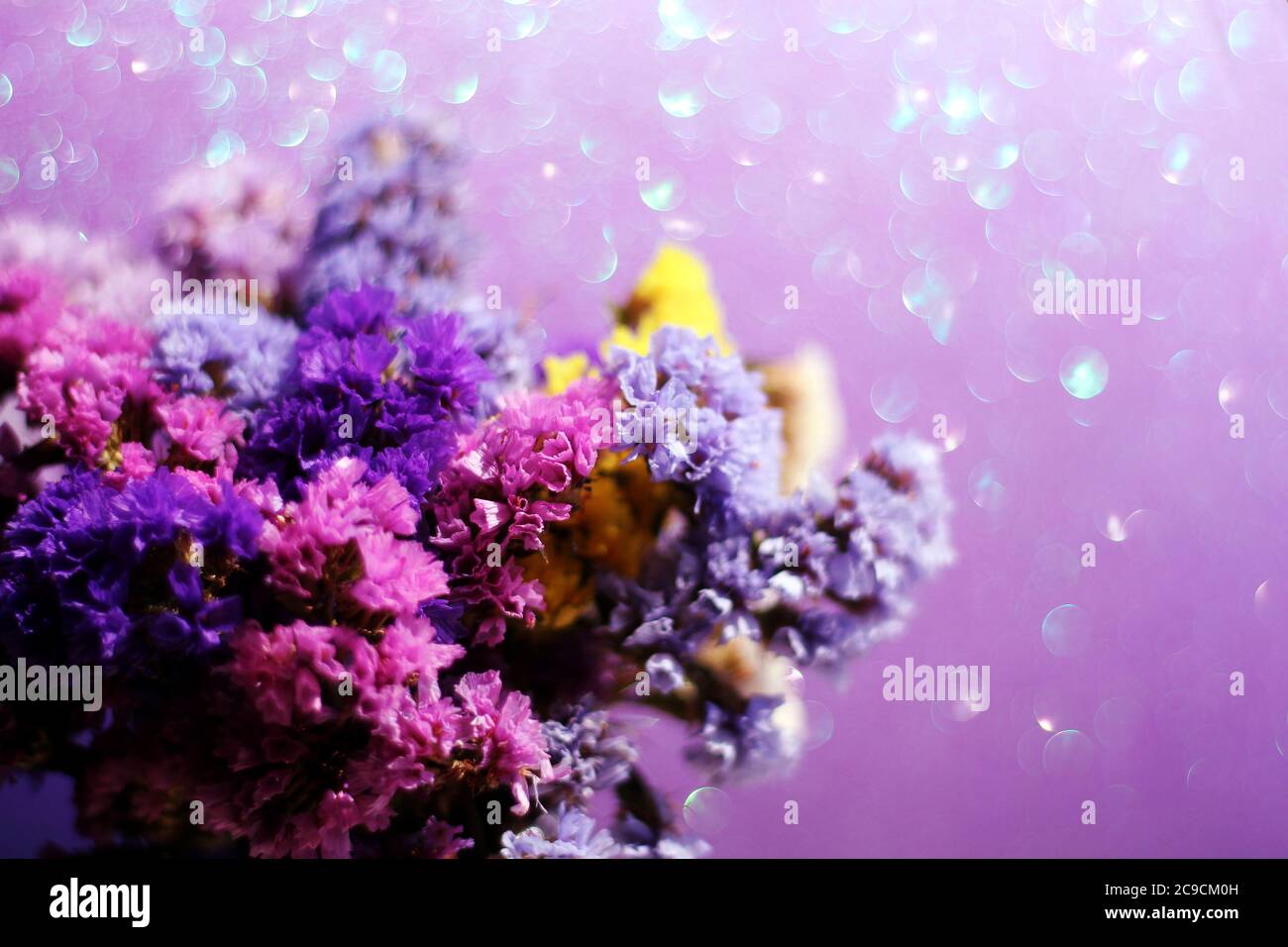 Ein Bouquet aus blauem, rosa, gelbem, violettem, weißem Limonium in Sonnenblendung. Fotokarte. Stockfoto