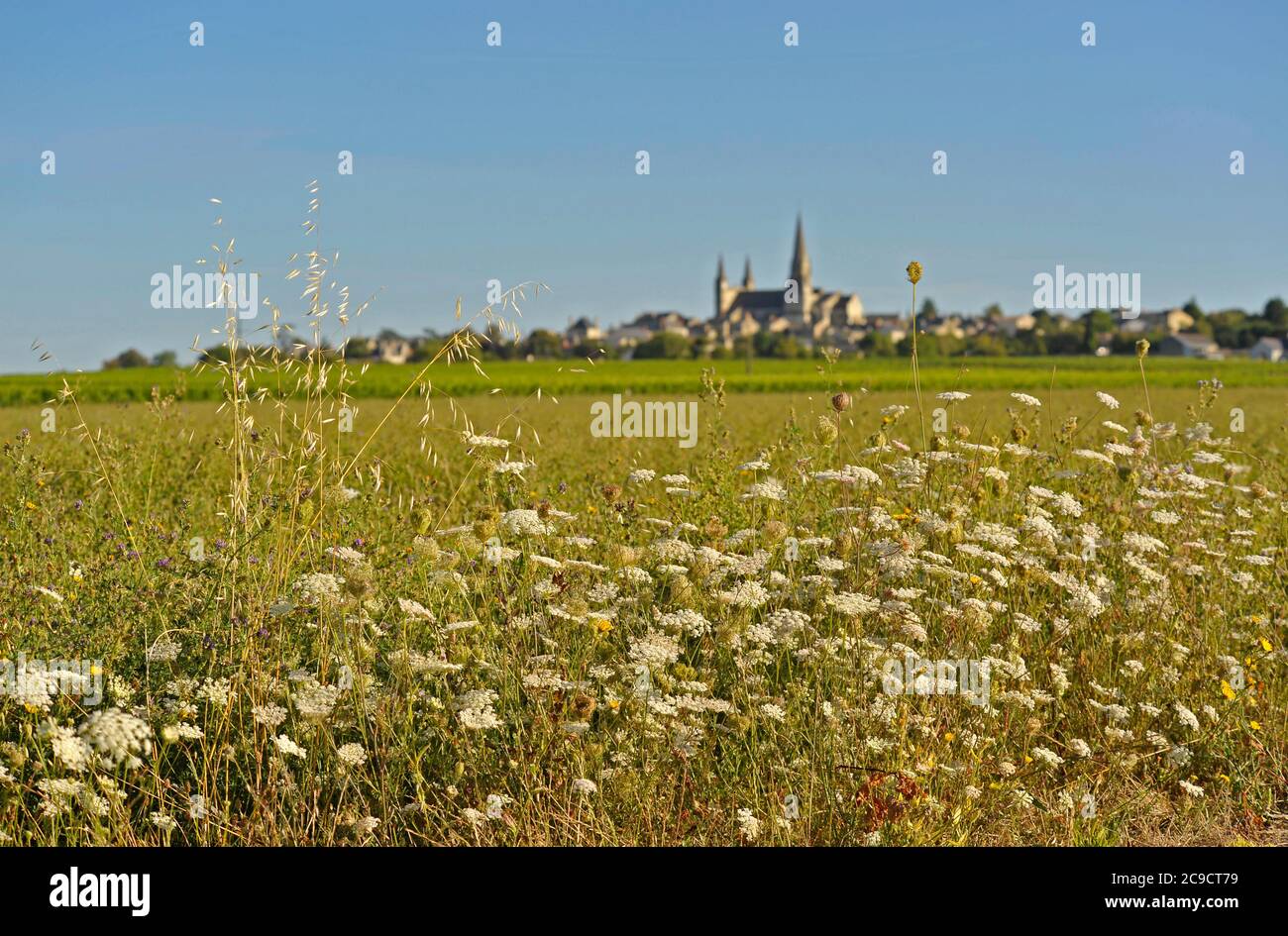 Le Puy-Notre-Dame Stadt in Maine-et-Loire Frankreich Stockfoto