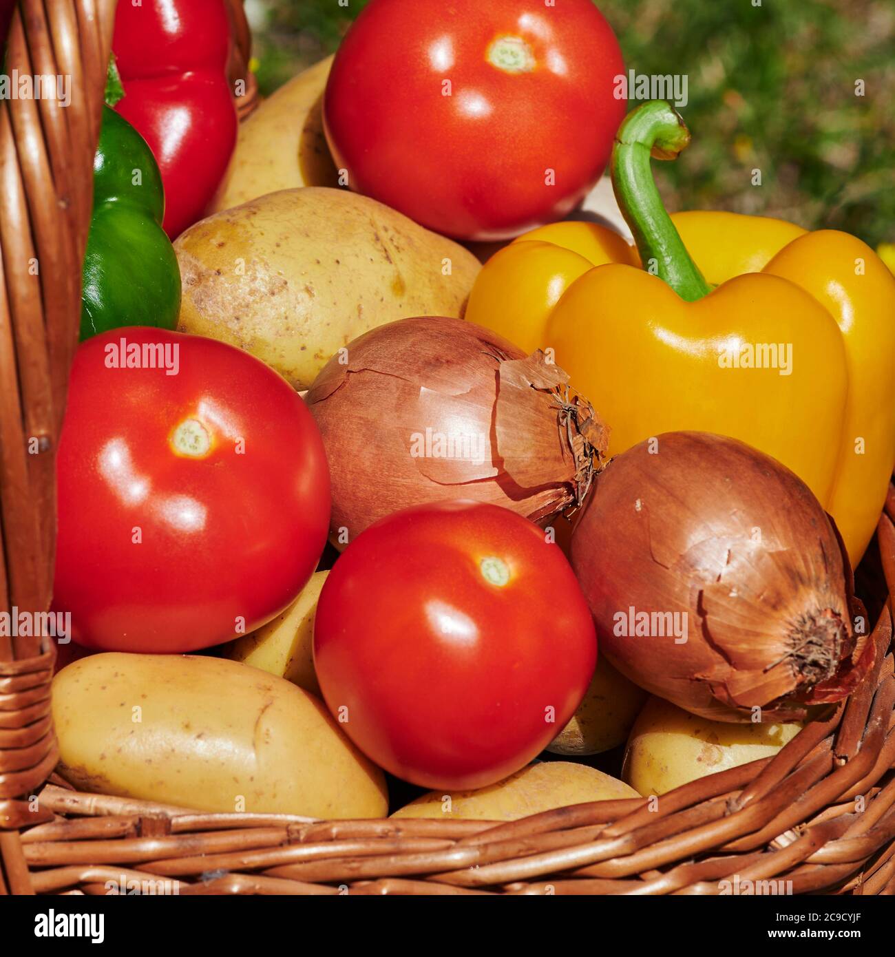 Makroaufnahme eines Korbes mit verschiedenen Gemüse im Sonnenlicht. Stockfoto