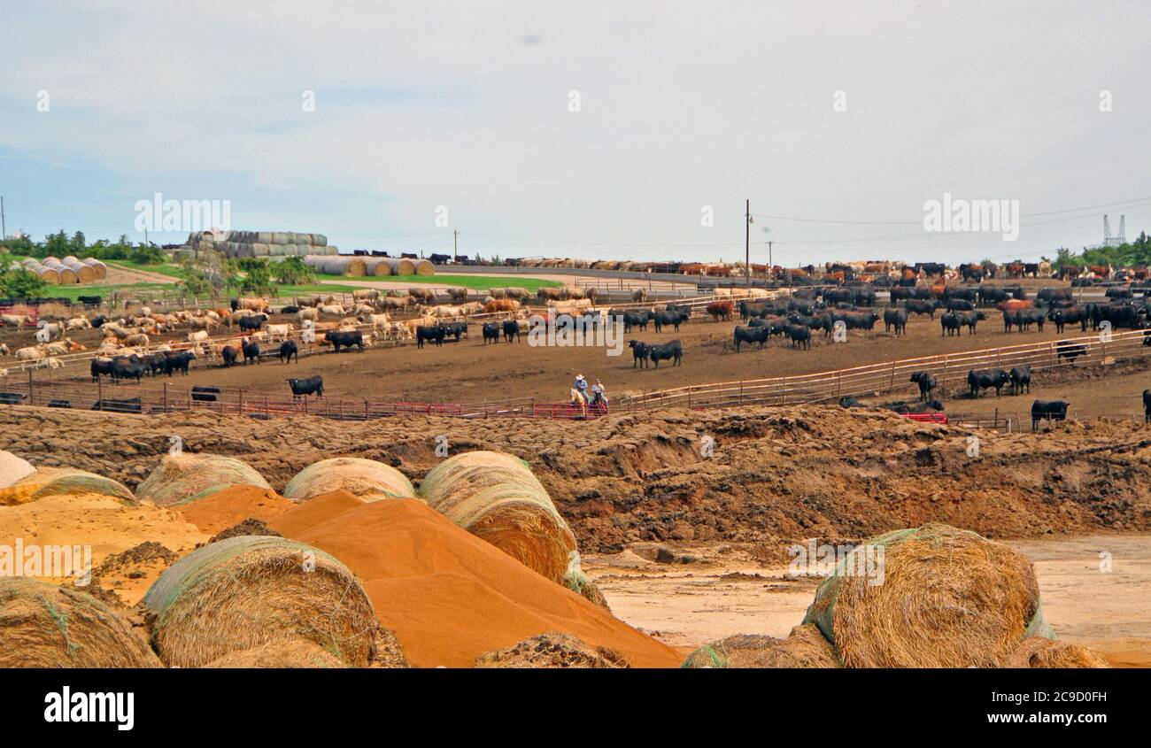 wyoming Stockyards in der Nähe von Rawlings vom highway 30 Stockfoto