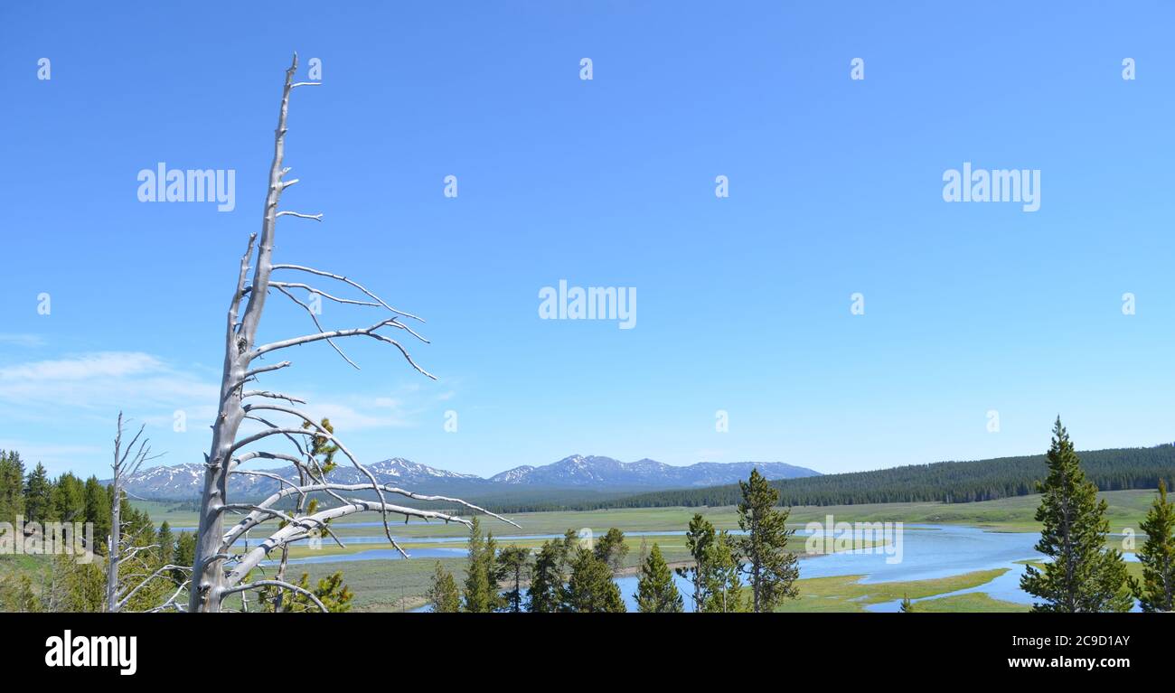 Spätfrühling im Yellowstone National Park: Yellowstone River und Hayden Valley überblicken den Hedges Peak, Dunraven Peak und Mount Washburn Stockfoto