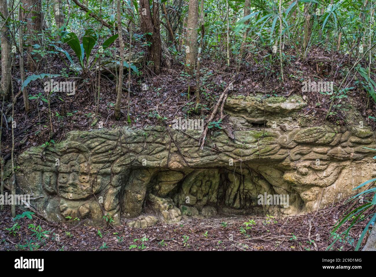 Sehr alte Steinschnitzereien in der Nähe der Ruinen der Maya-Stadt Muyil oder Chunyaxche im UNESCO-Weltbiosphärenreservat Sian Ka'an in Quintana Roo, Mexi Stockfoto