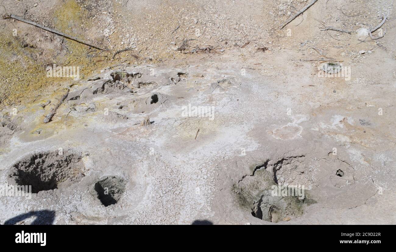 Spätfrühling im Yellowstone National Park: Grizzly Fumarole im Mud Volcano Gebiet entlang der Grand Loop Road Stockfoto