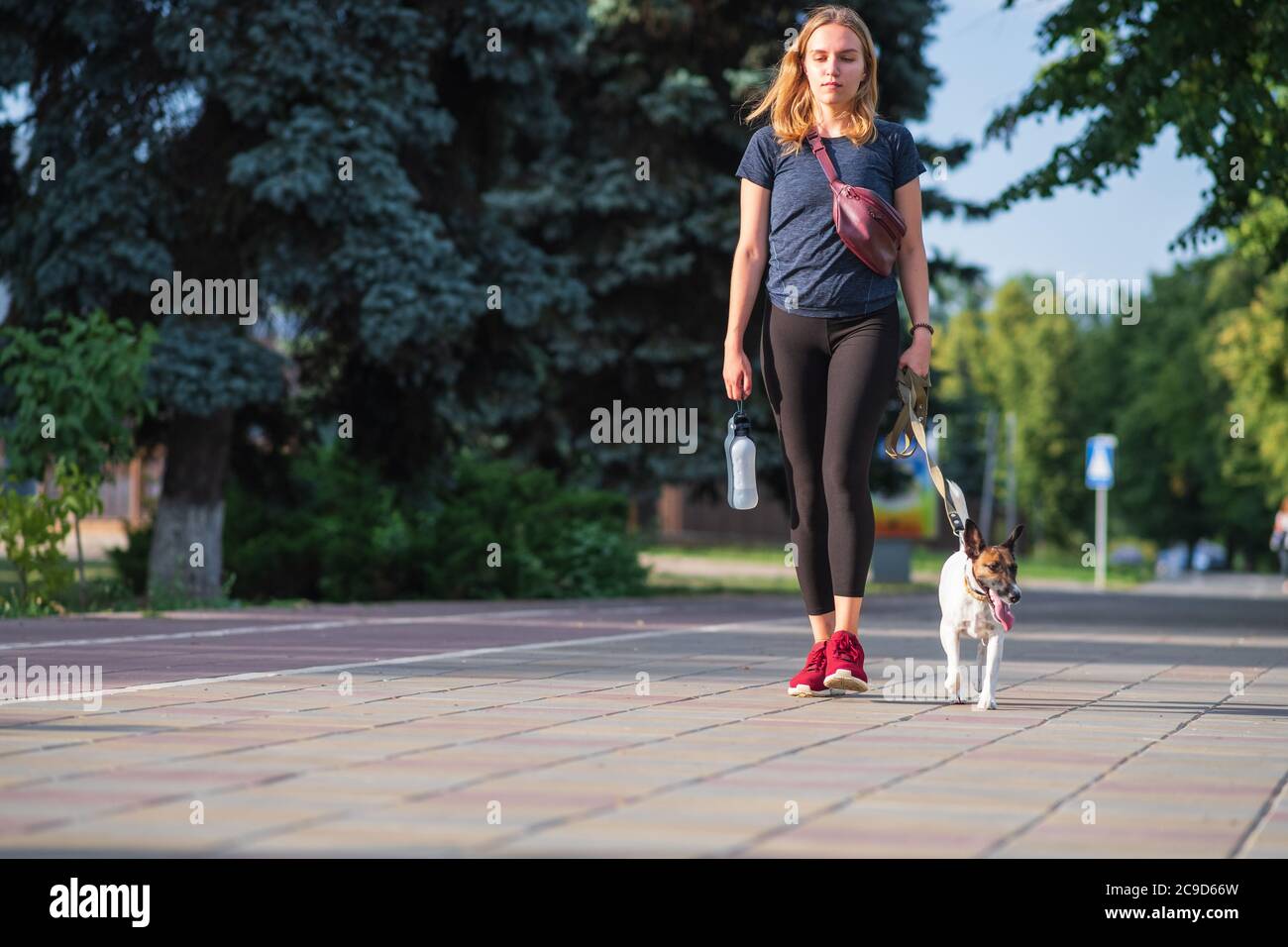 Eine Frau geht mit ihrem Hund im städtischen Hintergrund. Mit Haustieren in der Stadt, Zubehör für Welpen, Lebensstil mit Hunden, glatte Fuchs Terrier Rasse Stockfoto