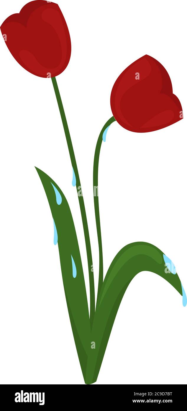 Morgentau, Illustration, Vektor auf weißem Hintergrund Stock Vektor