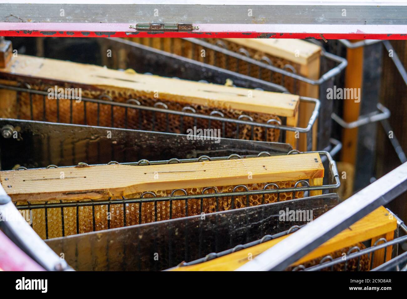 Honigextraktor Wabenwachs mit Honigrahmen. Stockfoto