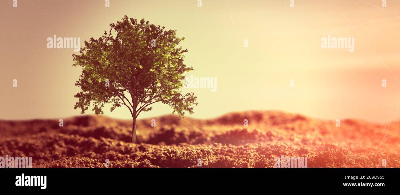 Allein wachsender Baum in der Wüste. Abstrakte grafische Komposition Stockfoto