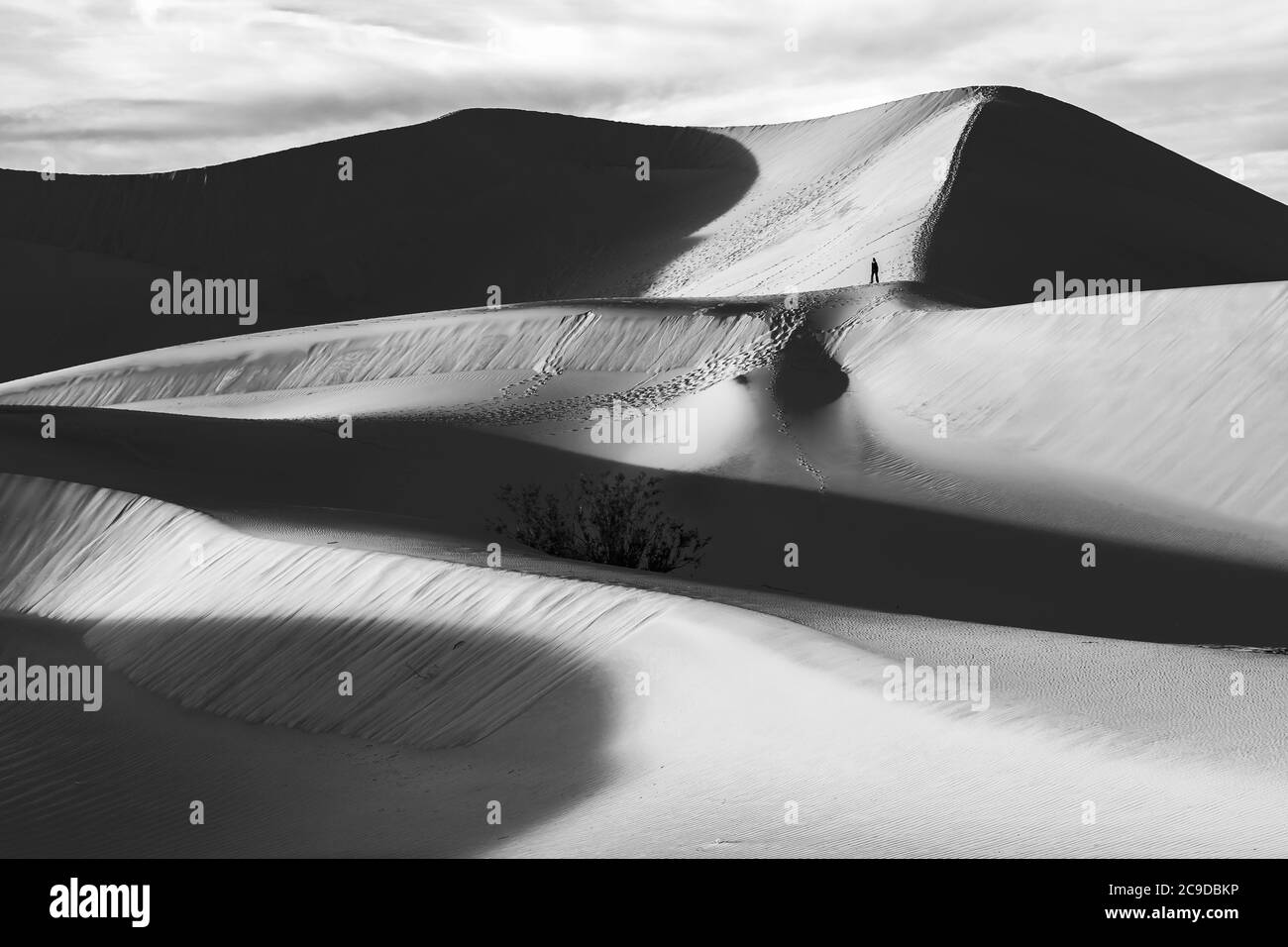 Alleinesgleichen Wanderer auf Mesquite Sand Dunes im Death Valley National Park, Kalifornien, USA, am Abend. Stockfoto