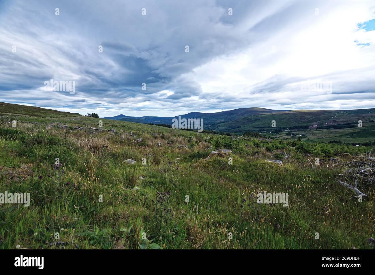 Die Landschaft auf Wicklow Mounts, Roundwood, Co.Wicklow, Irland Stockfoto