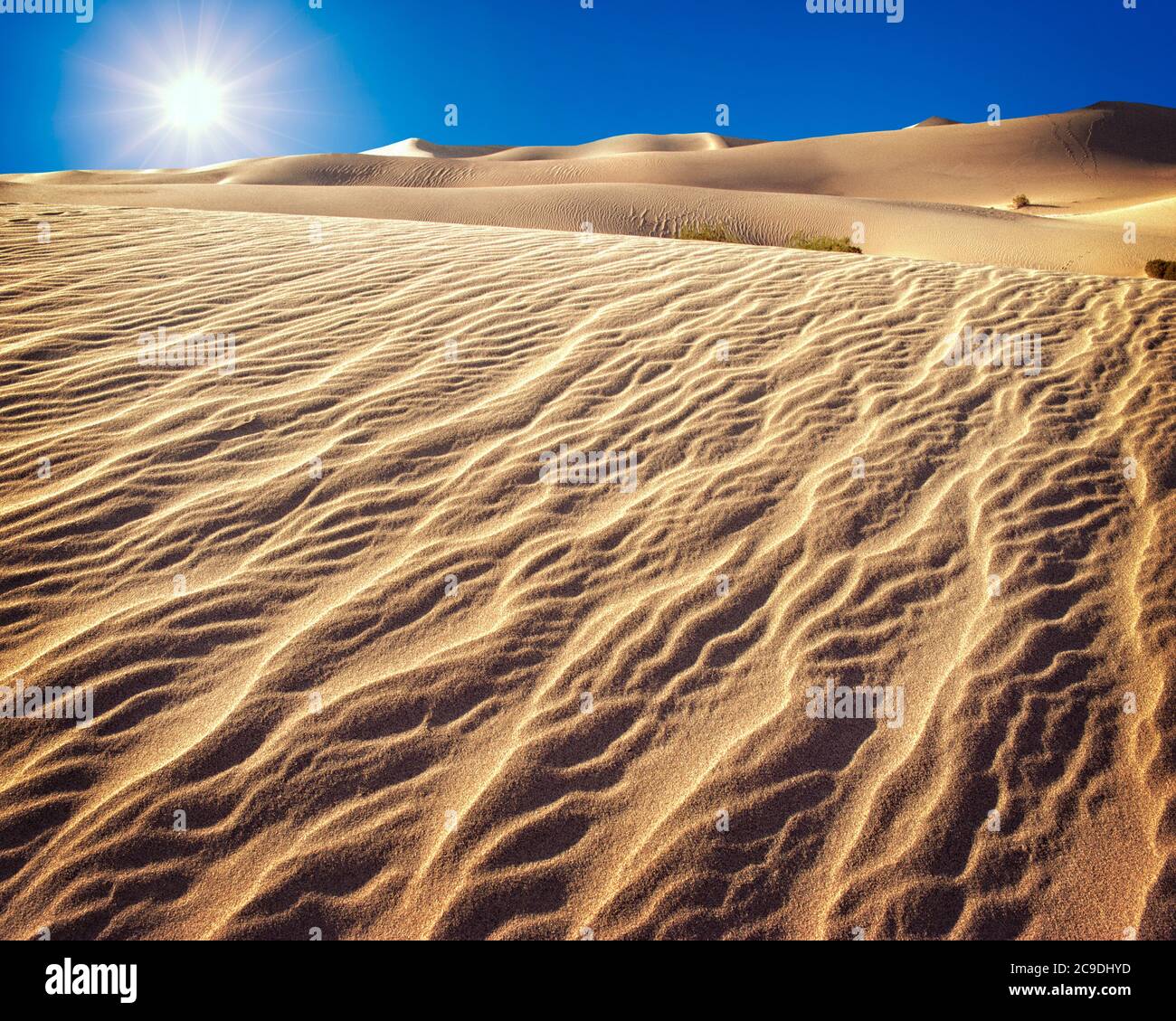 USA - COLORADO: Great Sand Dunes National Monument Stockfoto