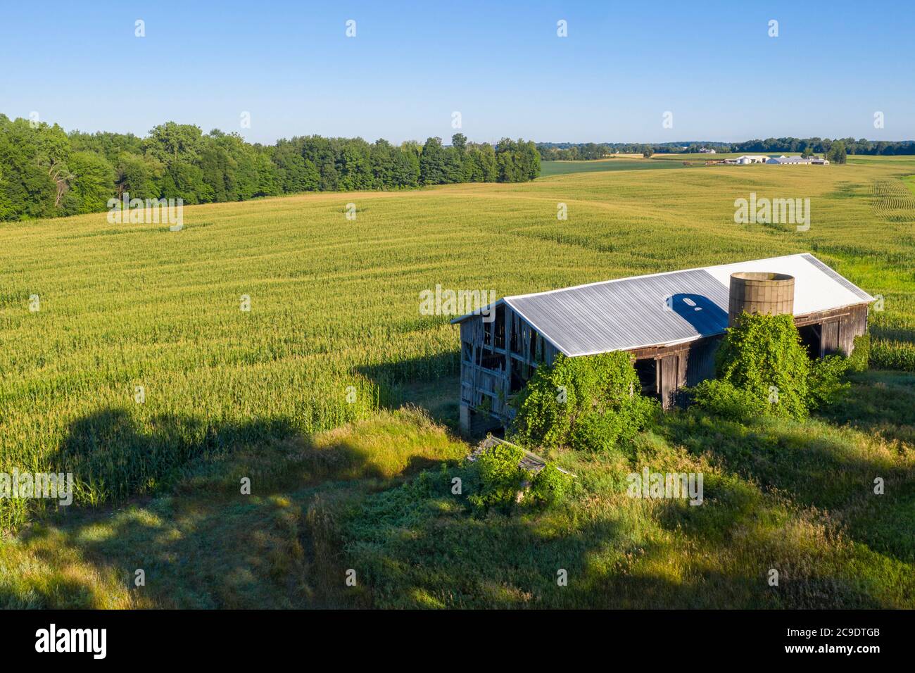 Orangeville, Michigan - eine alte, ungenutzte Scheune und Silo stehen neben einem Maisfeld auf einer Farm in West Michigan. Stockfoto