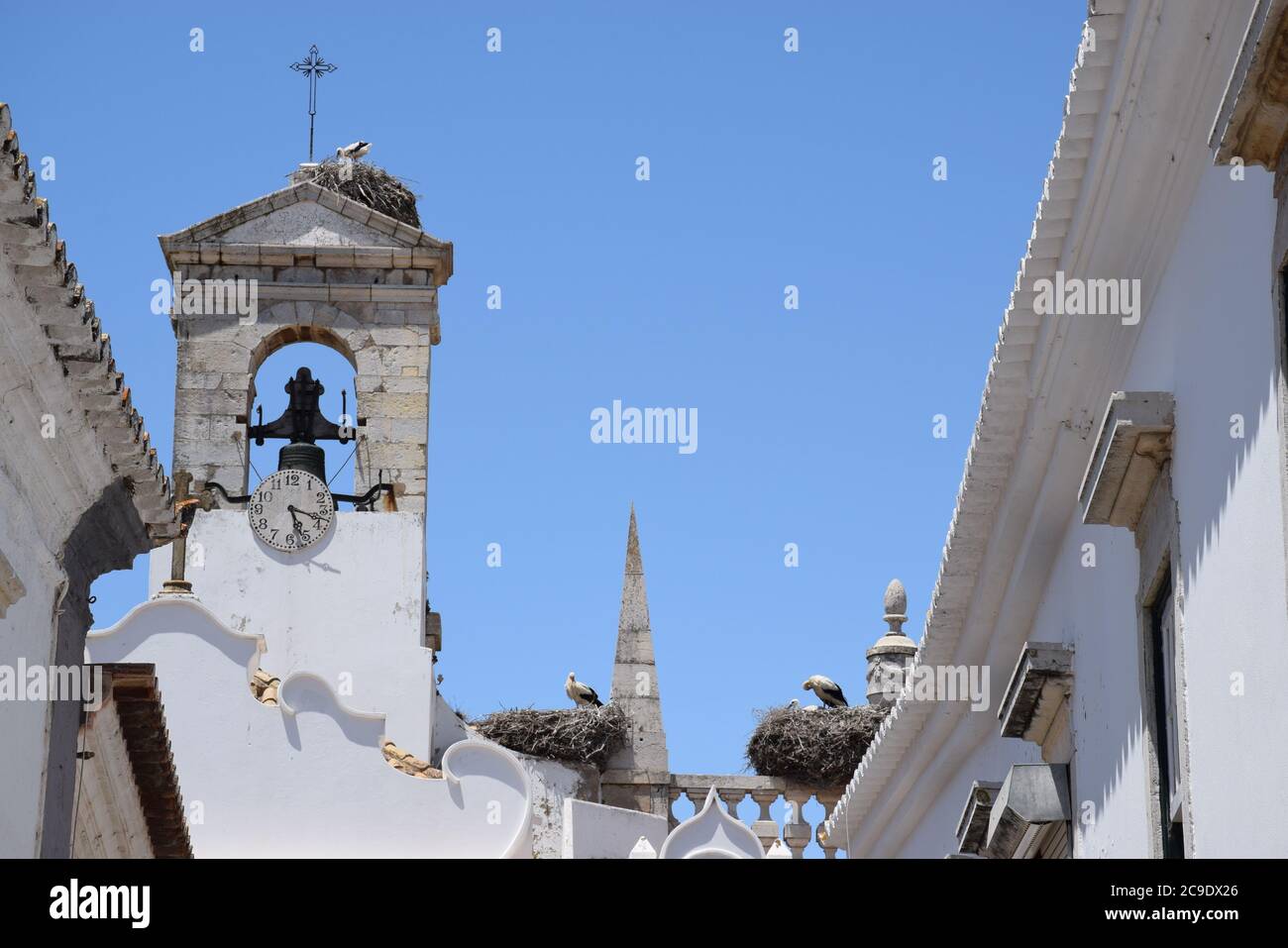 Störche brüten auf einem alten Stadttor (Arco da vila) in Faro (Portugal) Stockfoto