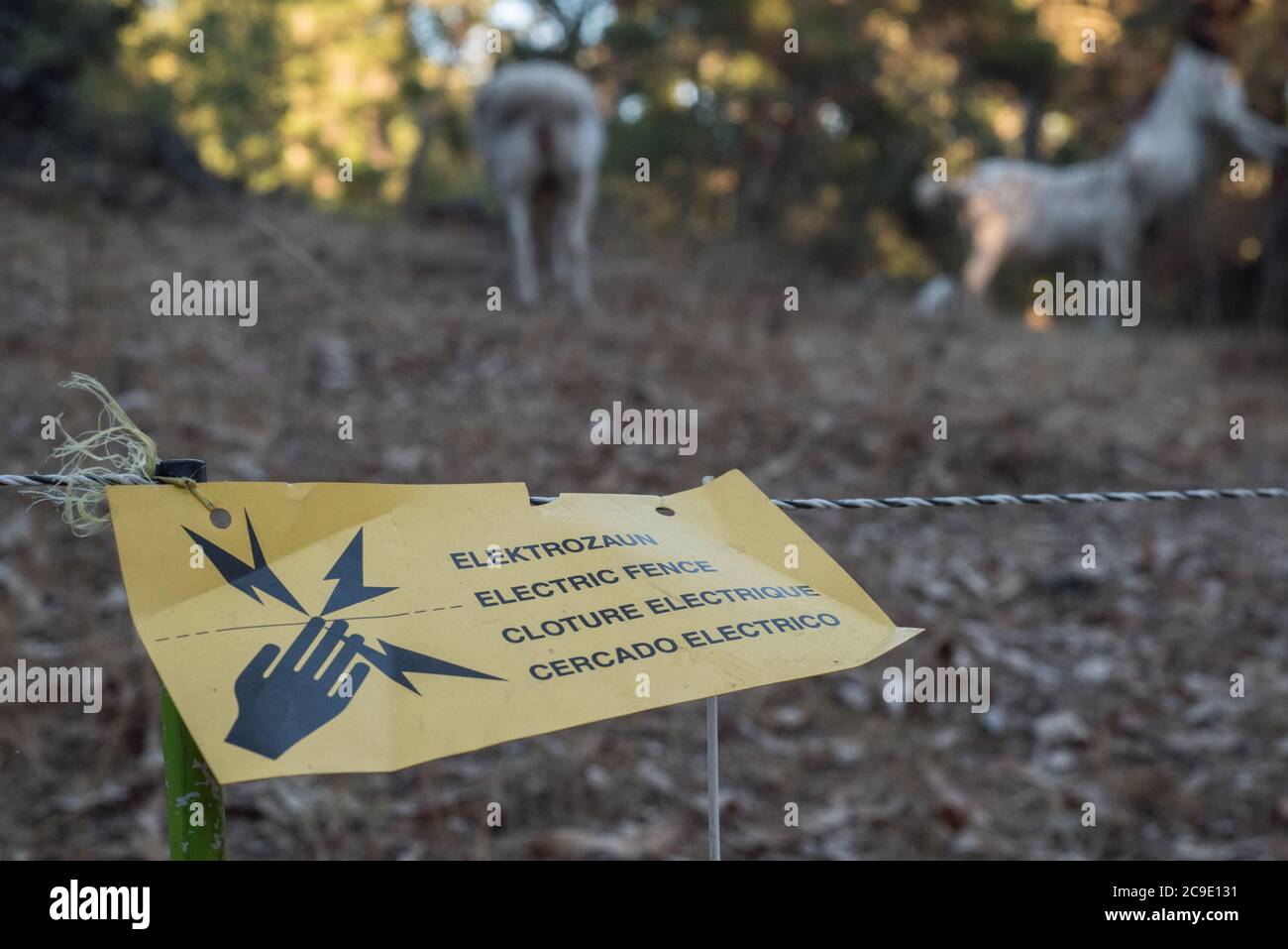 Ein Warnschild, das vor einem elektrischen Zaun warnt, der Ziegen in einem bestimmten Bereich hält, damit sie Vegetation in einer Form der Brandbekämpfung fressen können. Stockfoto