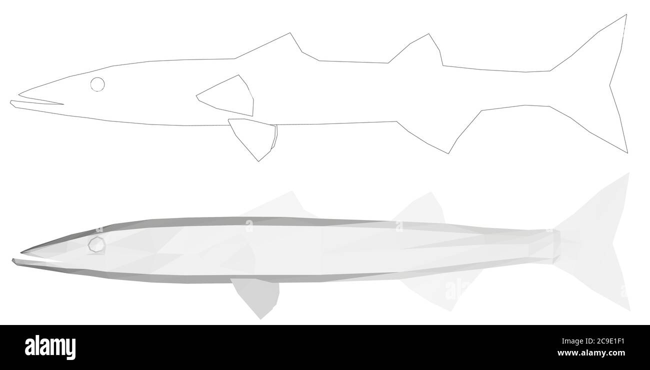 Set mit Fisch. Low-Poly-Fisch und seine Umrisse. Seitenansicht. Vektorgrafik. Stock Vektor