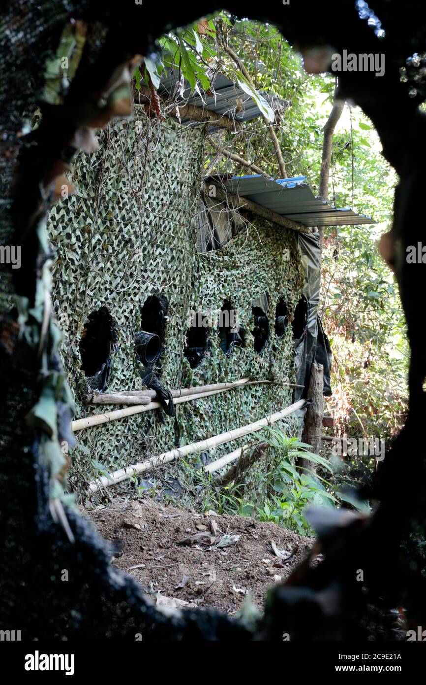 Vogelfotografie verstecken, 'Hornbill Valley', Yingjiang County, Südwesten Yunnan, China 26. Dez. 2018 Stockfoto