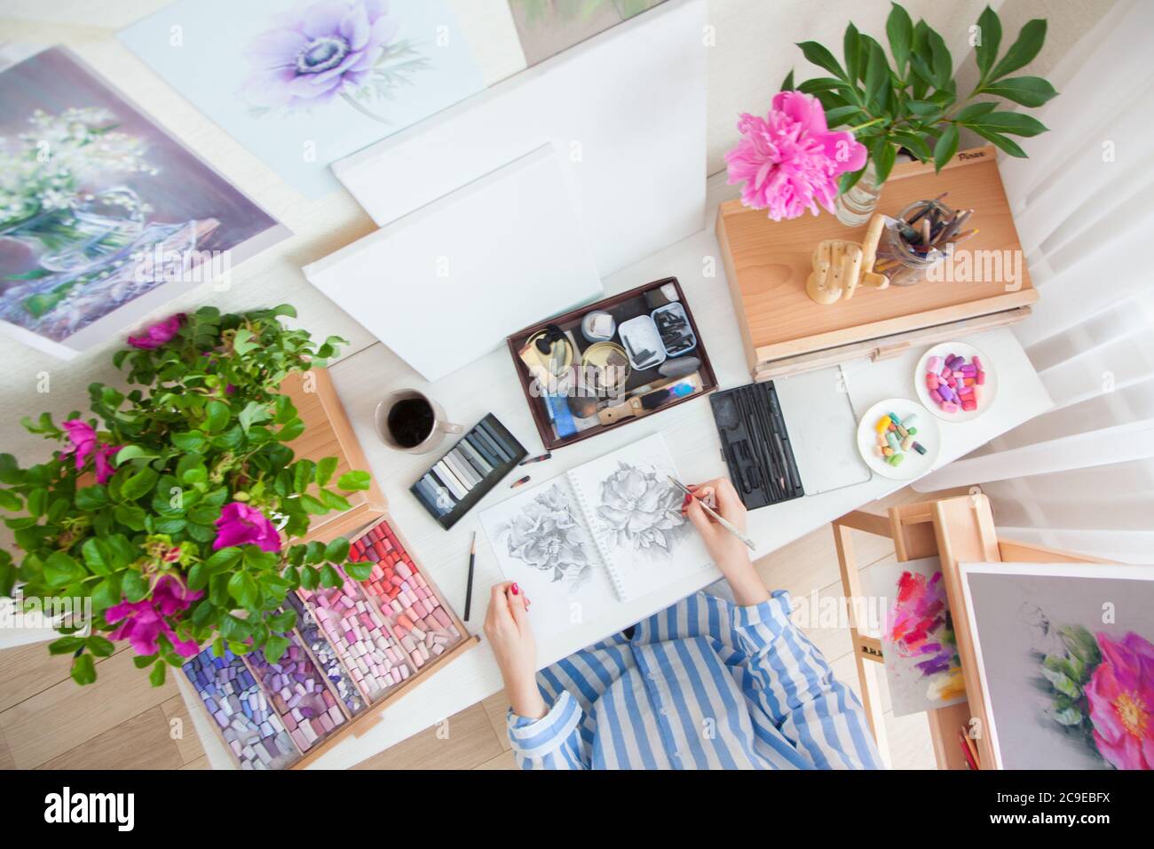 Draufsicht girl artist zeichnet eine Skizze von Rose Hip Blumen sitzen an ihrem Arbeitsplatz Stockfoto