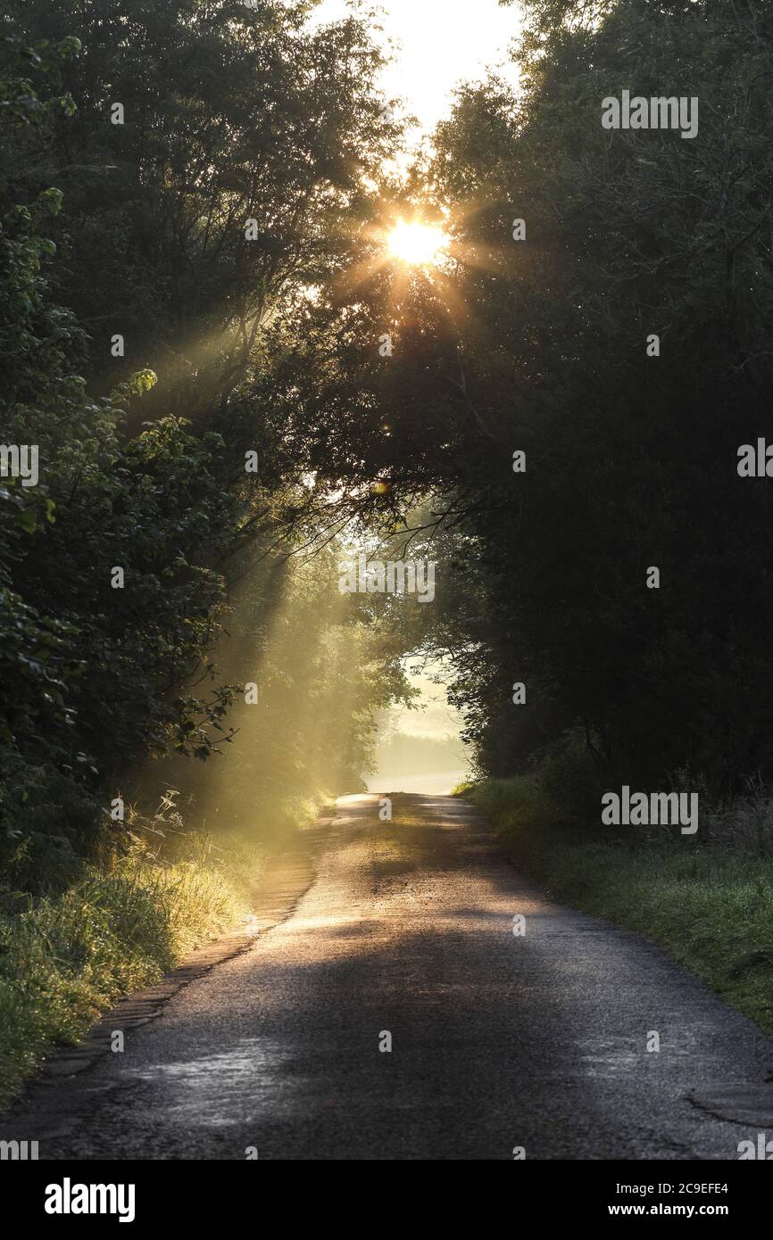 Barnard Castle, Teesdale, County Durham, Großbritannien. Juli 2020. Wetter in Großbritannien. Es war ein trockener und sehr warmer Start in den Tag mit Temperaturen erwartet, um etwa 33 Grad in einigen Teilen des Vereinigten Königreichs zu erreichen. Kredit: David Forster/Alamy Live Nachrichten Stockfoto