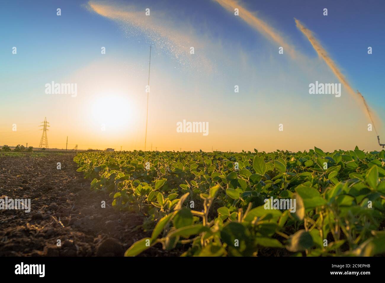 Bewässerungssystem regen Pistolen Sprinkler auf landwirtschaftlichen Feld. Stockfoto
