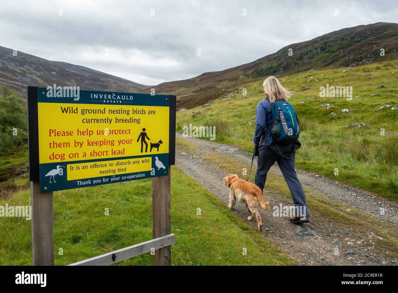 Schild, das Hundespaziergängern sagt, dass sie Hunde an der Leine halten sollen, da sie Vögel auf der Jock's Road, Invercauld Estate in der Nähe von Braemar in Schottland, Großbritannien, brüten. Stockfoto