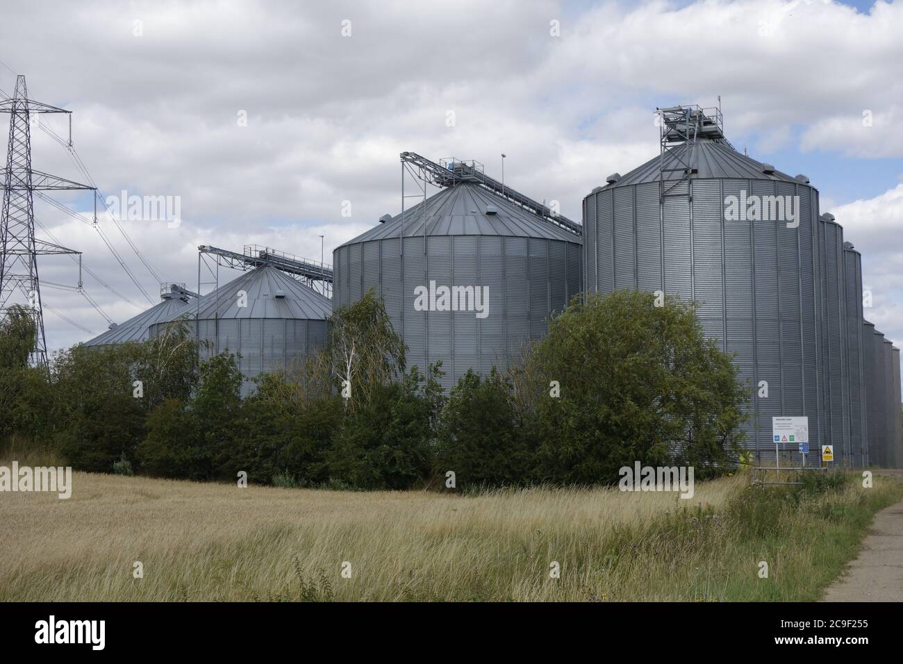 Die Linton Advanced Processing Centers, Camgrain, Getreidelagereinrichtung für lokale Landwirte, linton, cambridgeshire, cambs, england, großbritannien Stockfoto