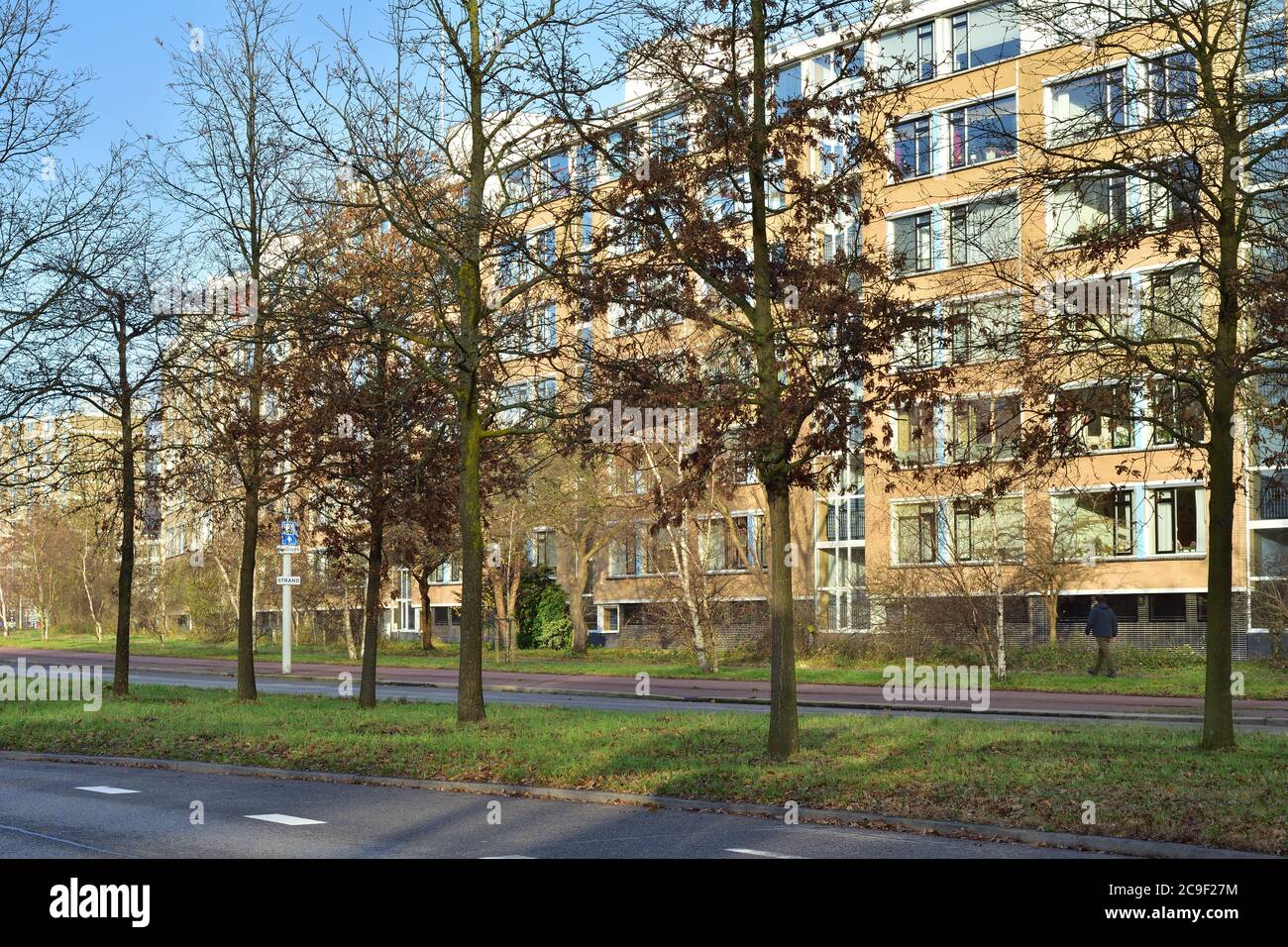 Mehrfamilienhäuser inmitten der Herbstvegetation an einem kühlen Morgen. Herbst. Stockfoto