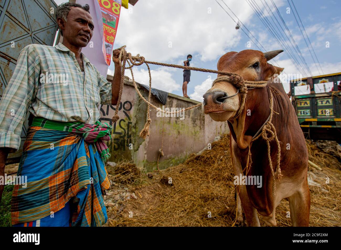 Der Qurbani Meat Market verkauft Oxens vor dem Eid-al-Adha in Dhaka, Bangladesch. Der Eid-al-Adha fällt am 1. August 2020. Der COVID 19 hat den normalerweise hektischen Markt stark gebändet, und viele Tiere werden jetzt online gehandelt, um die soziale Distanzierung zu erleichtern. Stockfoto