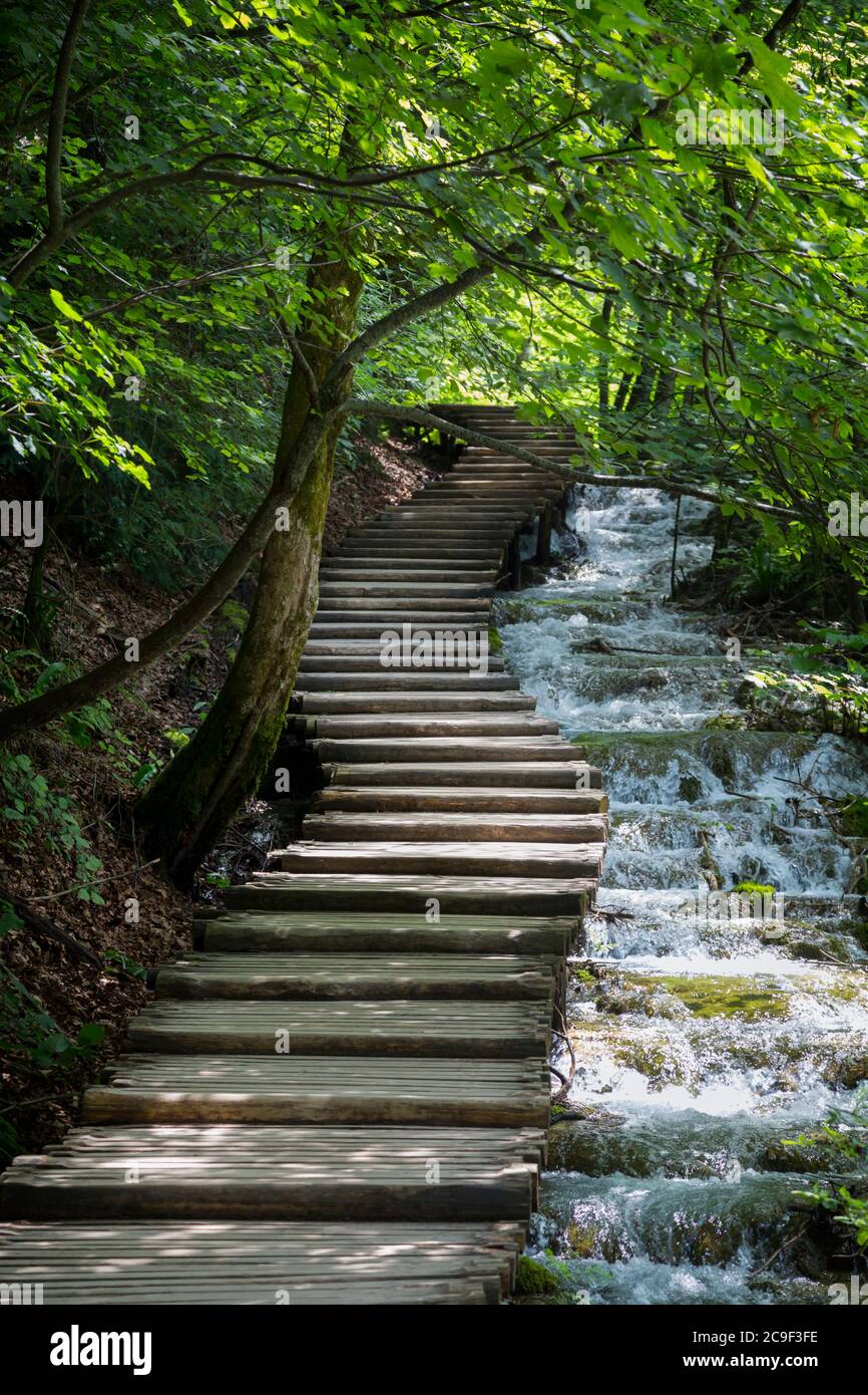 Nationalpark Plitvicer Seen, Lika-Senj County & Karlovac County, Kroatien. Beispiel für hölzerne Gehwege, die den Park durchqueren. Stockfoto