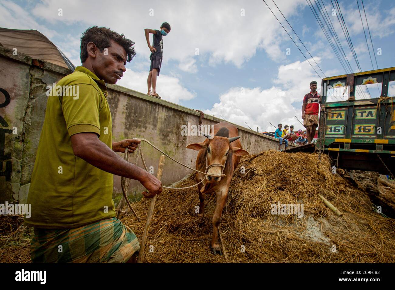 Der Qurbani Meat Market verkauft Oxens vor dem Eid-al-Adha in Dhaka, Bangladesch. Der Eid-al-Adha fällt am 1. August 2020. Der COVID 19 hat den normalerweise hektischen Markt stark gebändet, und viele Tiere werden jetzt online gehandelt, um die soziale Distanzierung zu erleichtern. Stockfoto