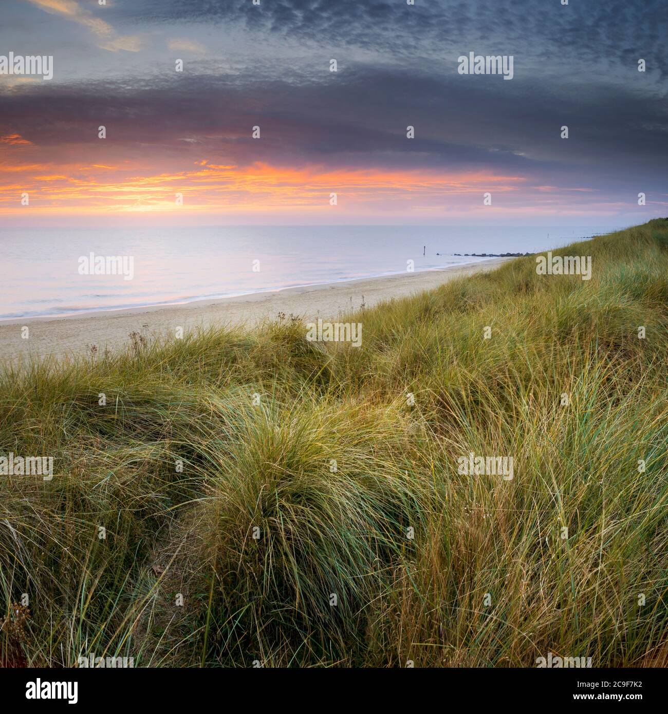 Sonnenaufgang über den grasbewachsenen Dünen von Waxham. Stockfoto
