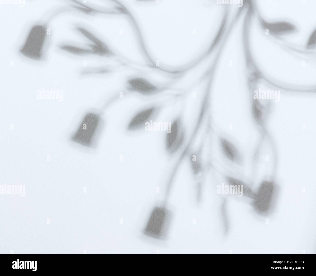 Schatten von abstrakten Blättern auf weißem Wandhintergrund Stockfoto
