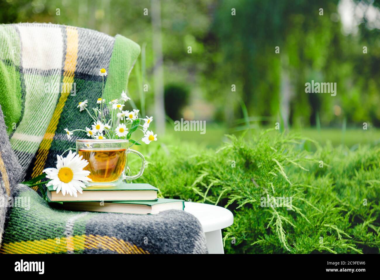 Glas Tasse Kräutertee mit Kamillenblüte auf Büchern, warm grün karierten Tisch im Freien. Gemütliches Zuhause, Natur Hintergrund im Garten. Speicherplatz kopieren Stockfoto