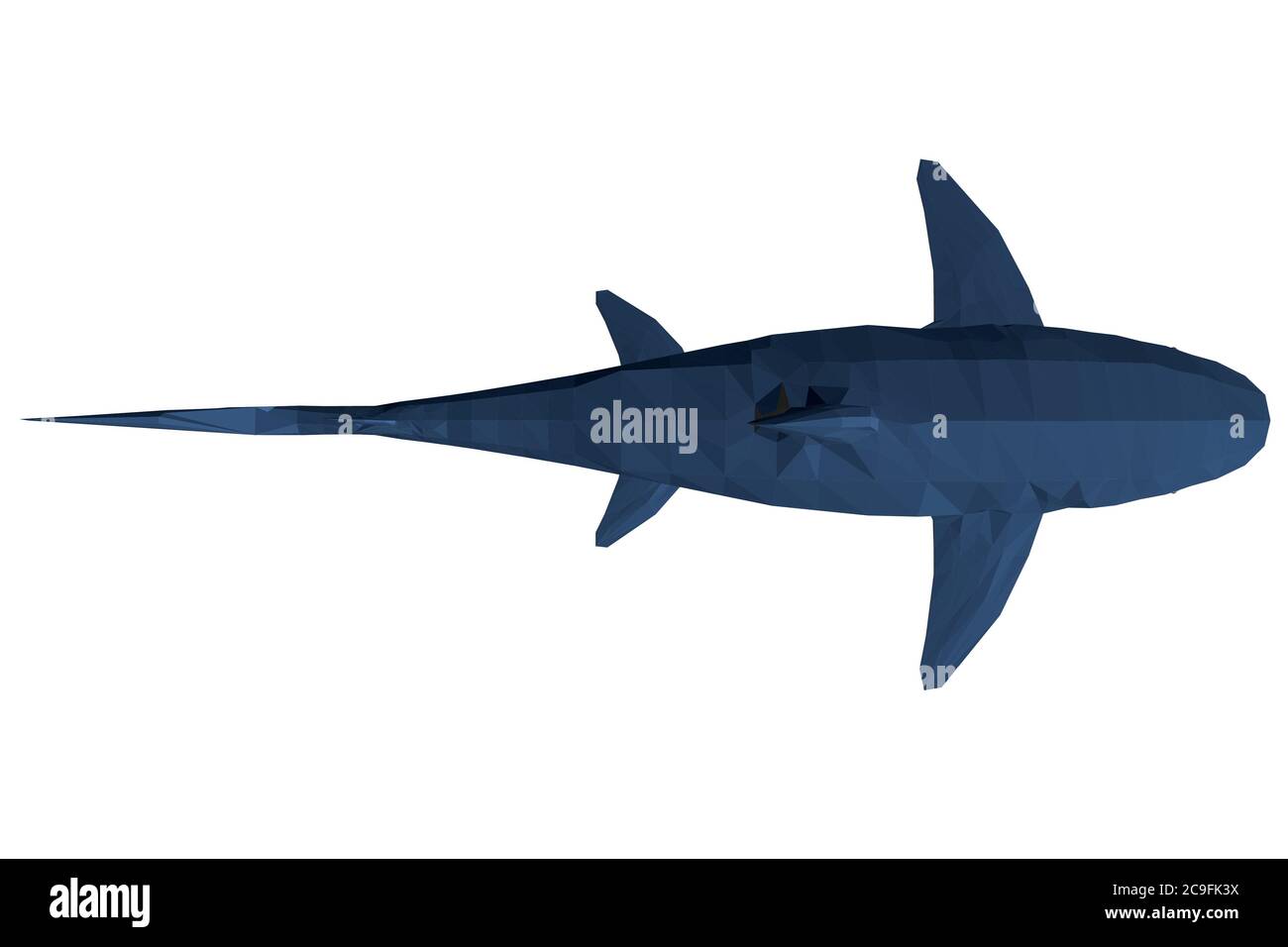 Low Poly Blue Hai. 3D. Blick von oben. Vektorgrafik. Stock Vektor