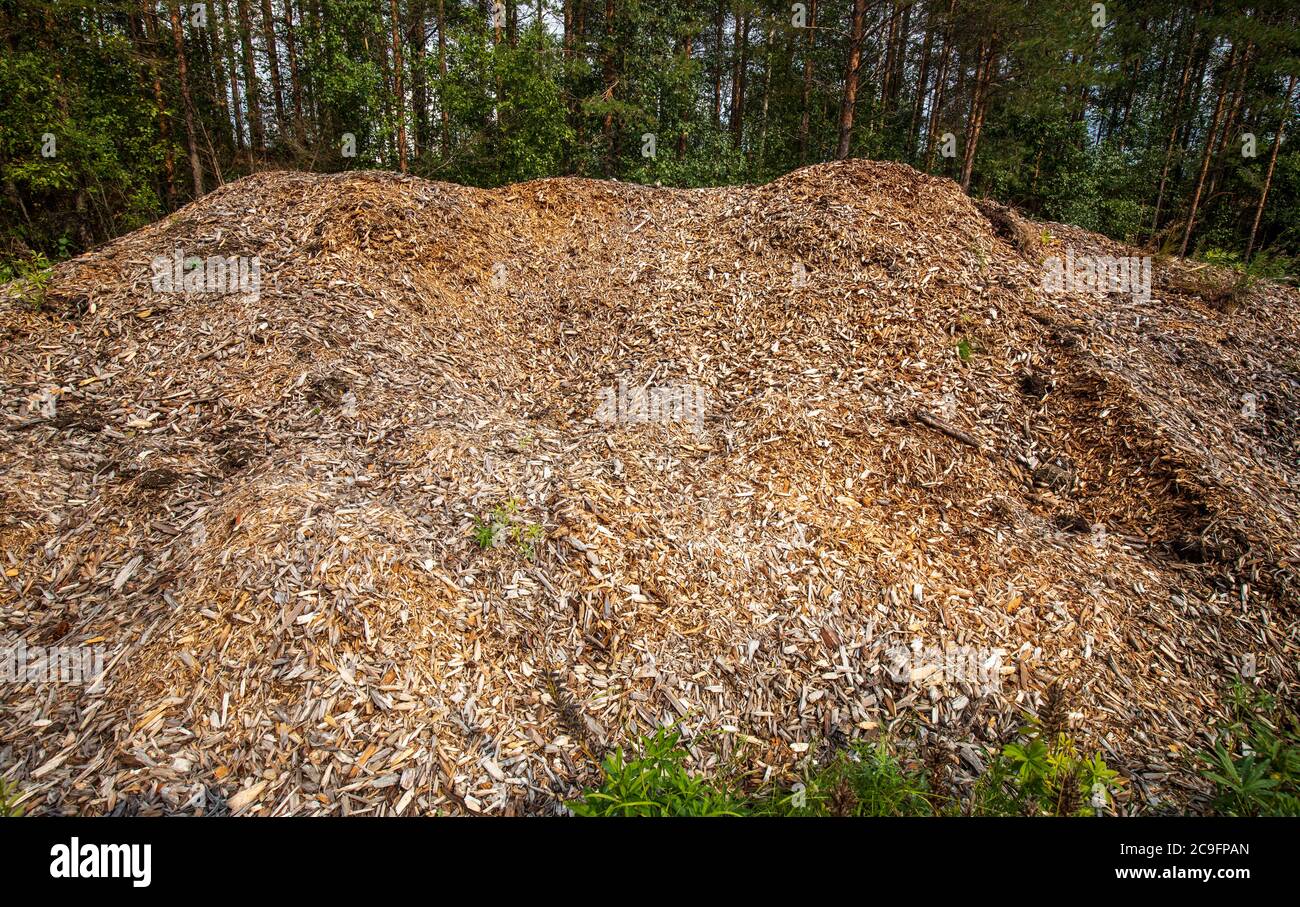 Stapel von Hackschnitzeln, Finnland Stockfoto