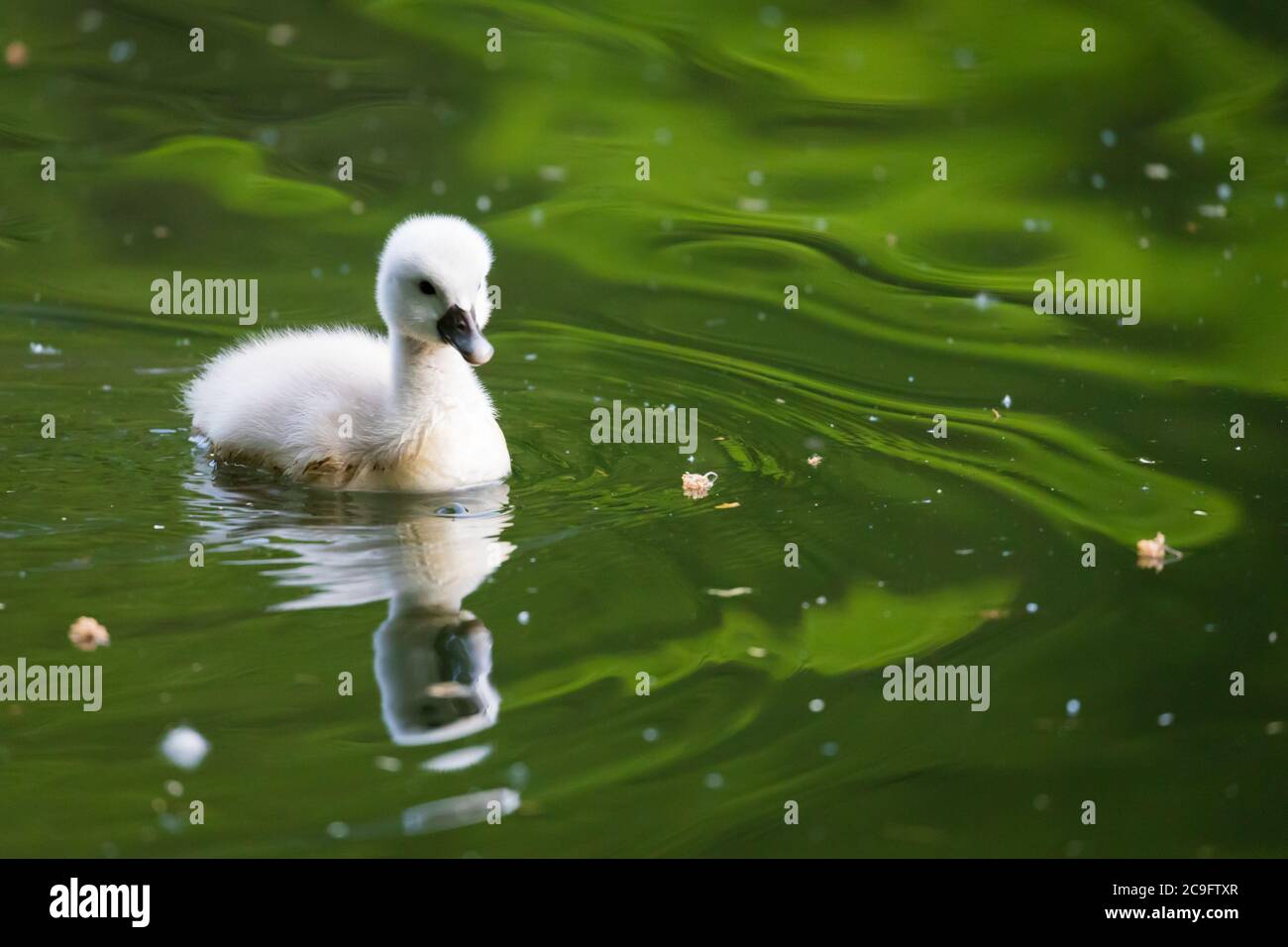 Wupper Reservoir Stockfotos Und Bilder Kaufen Alamy