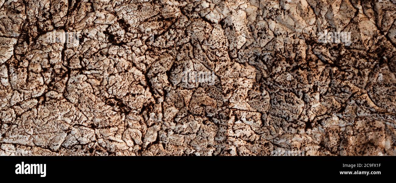 Alter Papierhintergrund. Abstrakte braune Grunge Papier Textur. Banner Stockfoto