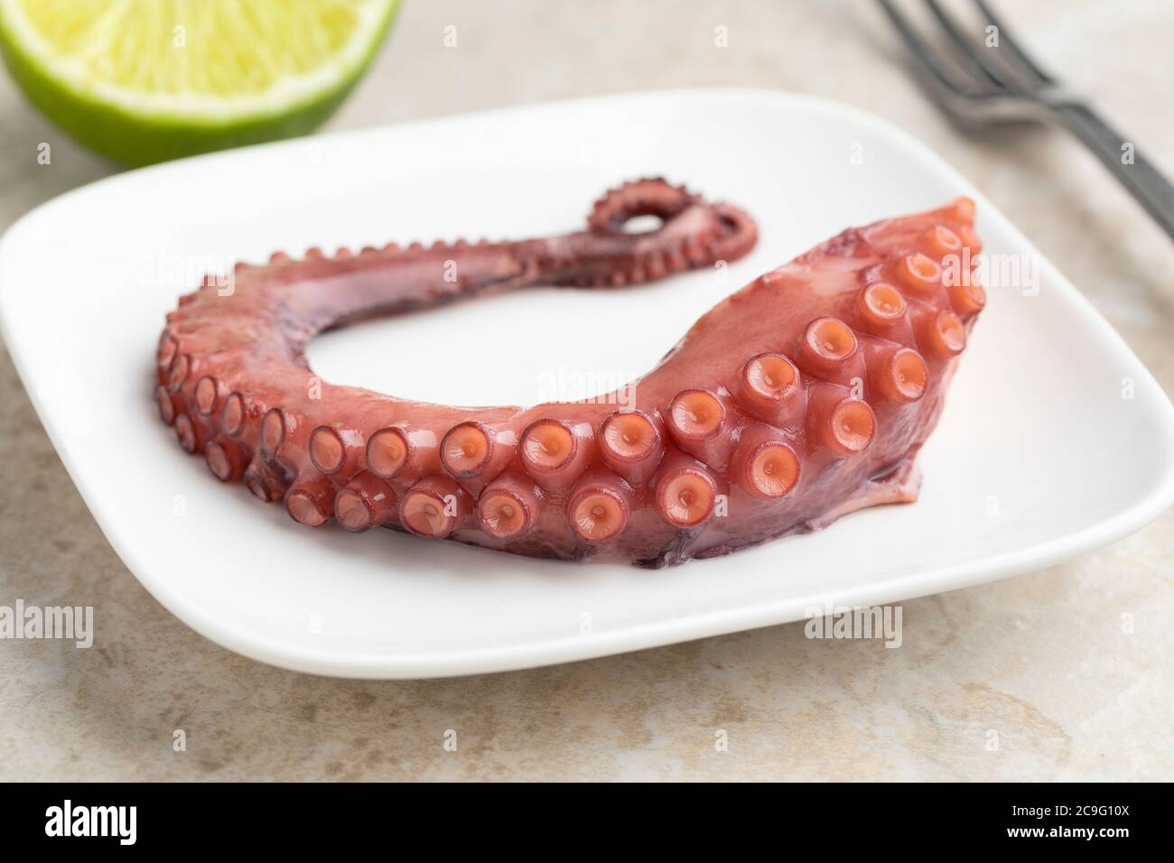 Frisch gekochte Tintenfisch Tentakel aus der Nähe auf einem Gericht Stockfoto