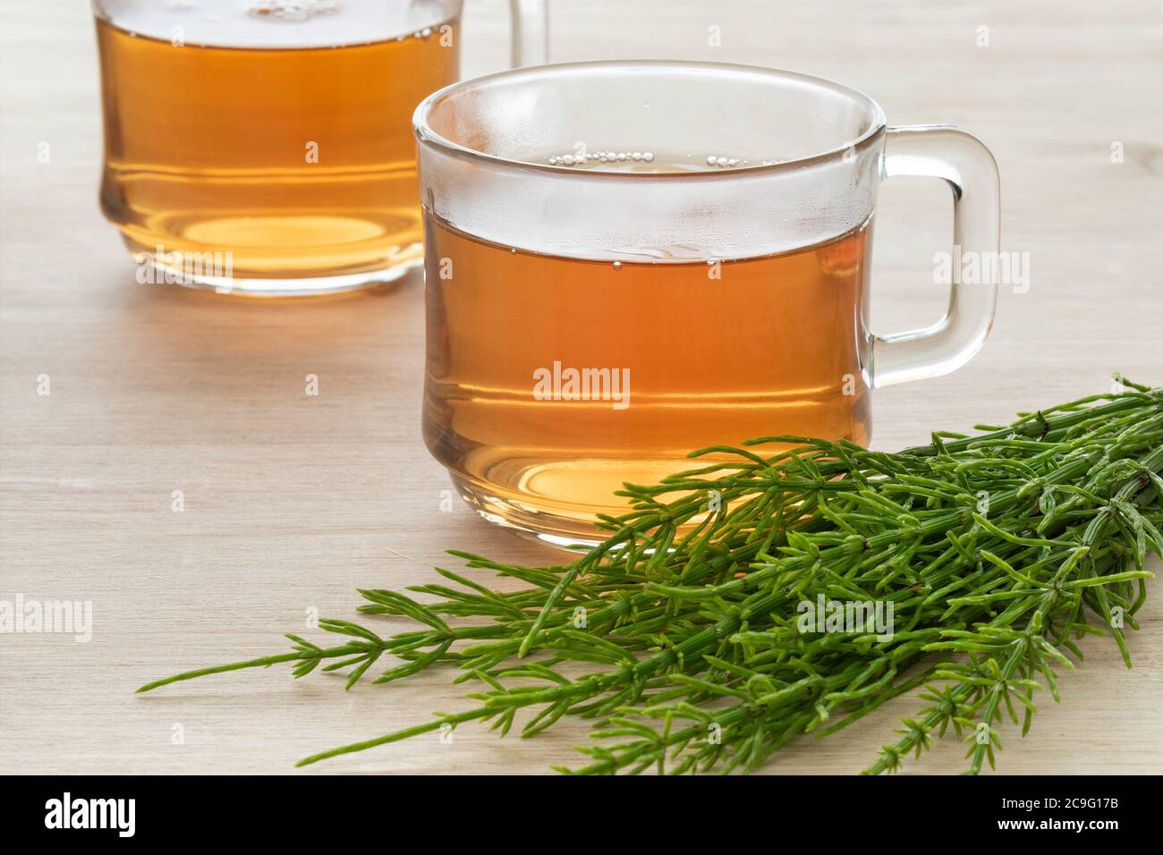 Glas Tasse mit heißer Feld Schachtelhalm Kräutertee und frischen grünen Zweigen aus nächster Nähe Stockfoto
