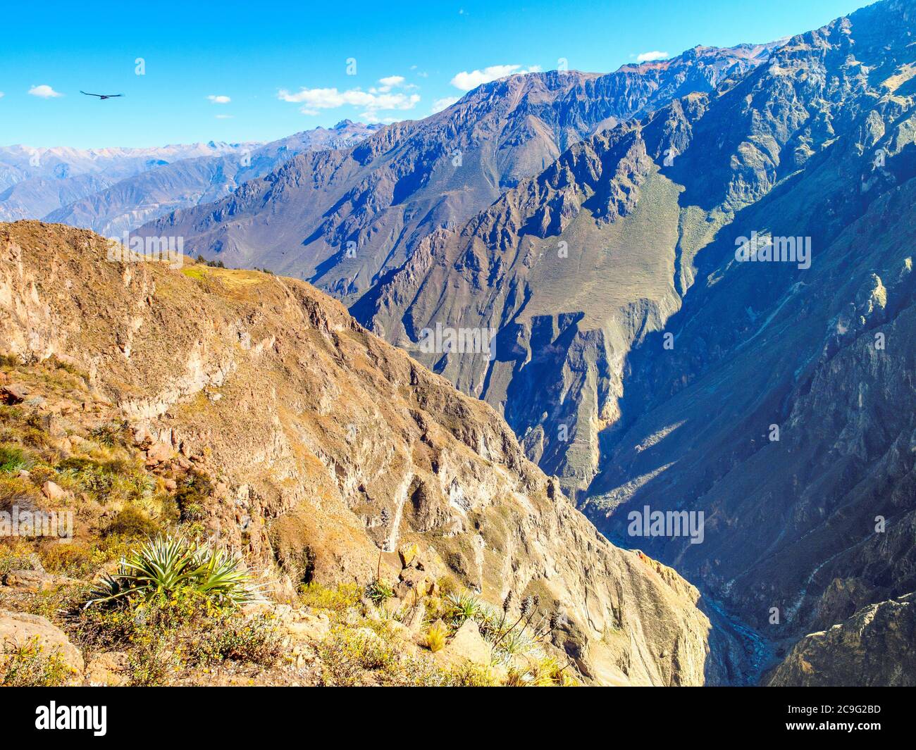 Colca Canyon - Peru Stockfoto