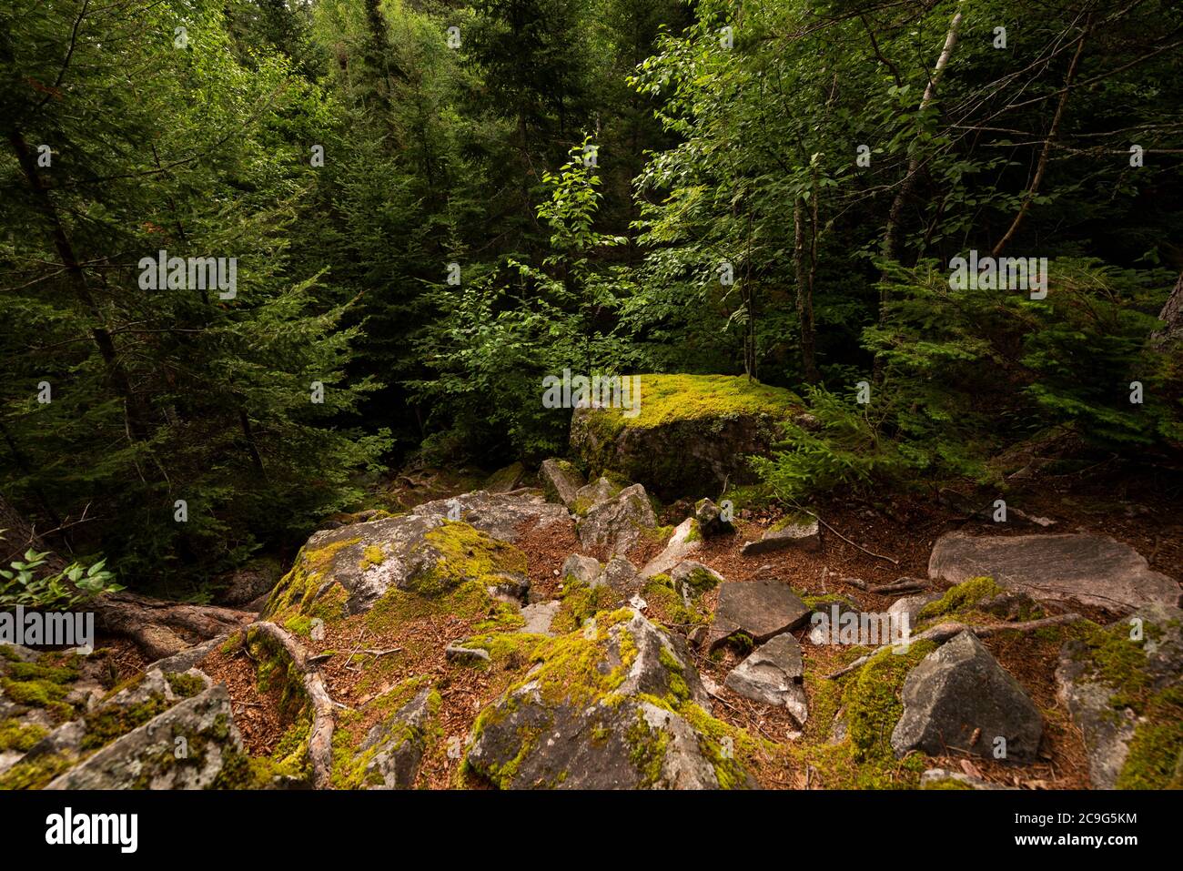 Boulder-gestreute Wanderweg hinunter zum Wasser am Nordufer des Lake Superior. Stockfoto