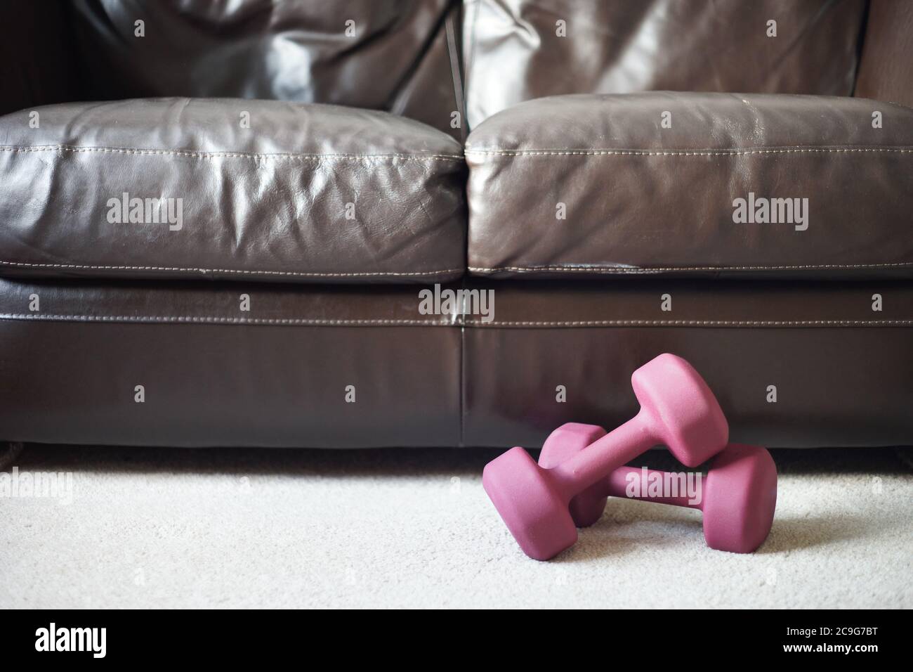 Ein Paar Hanteln auf dem Teppich neben der Couch oder dem Sofa zu Hause. Thema oder Konzept Home Workout, Training von zu Hause, fit halten, Gewichtheben, Gesundheit. Stockfoto