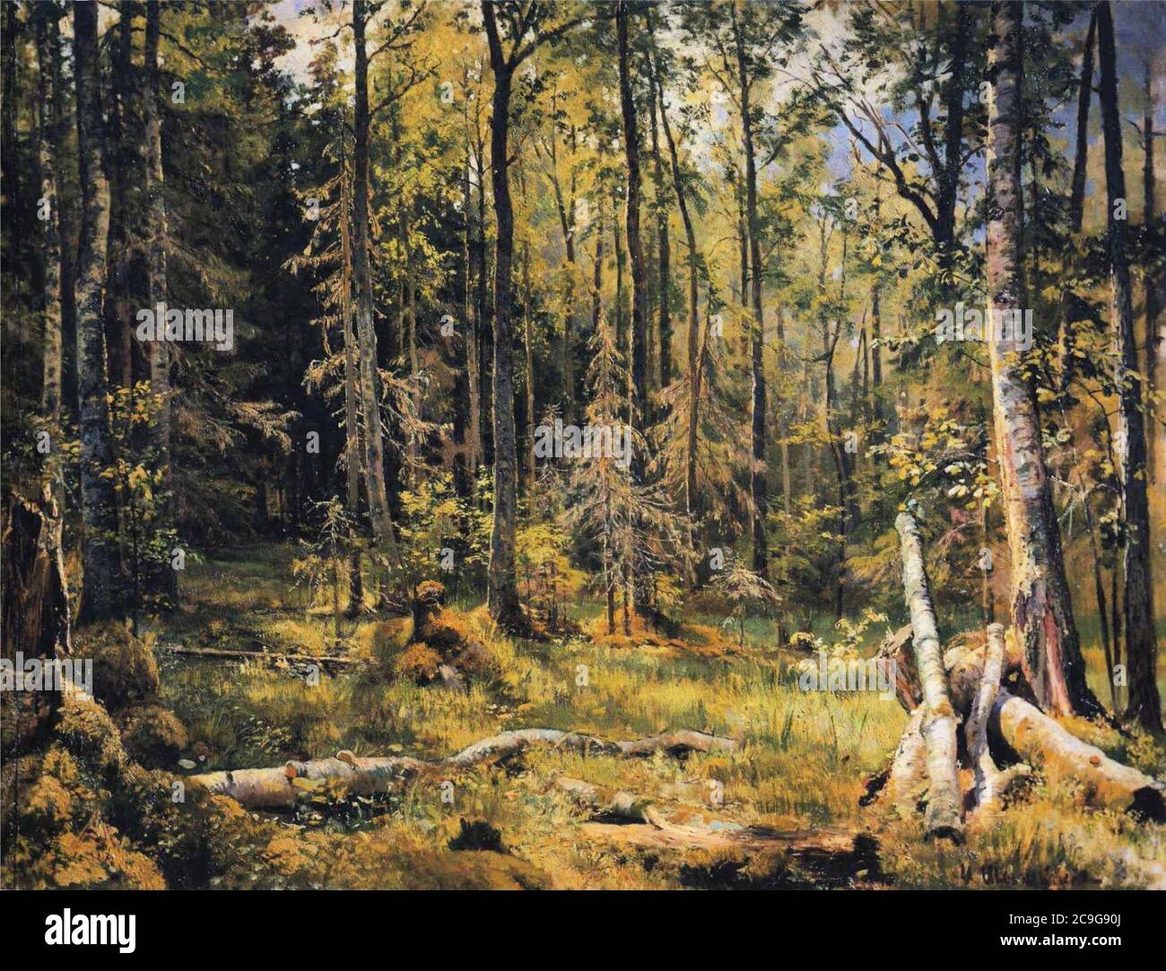 Ivan Shishkin - Mischwald. Stockfoto