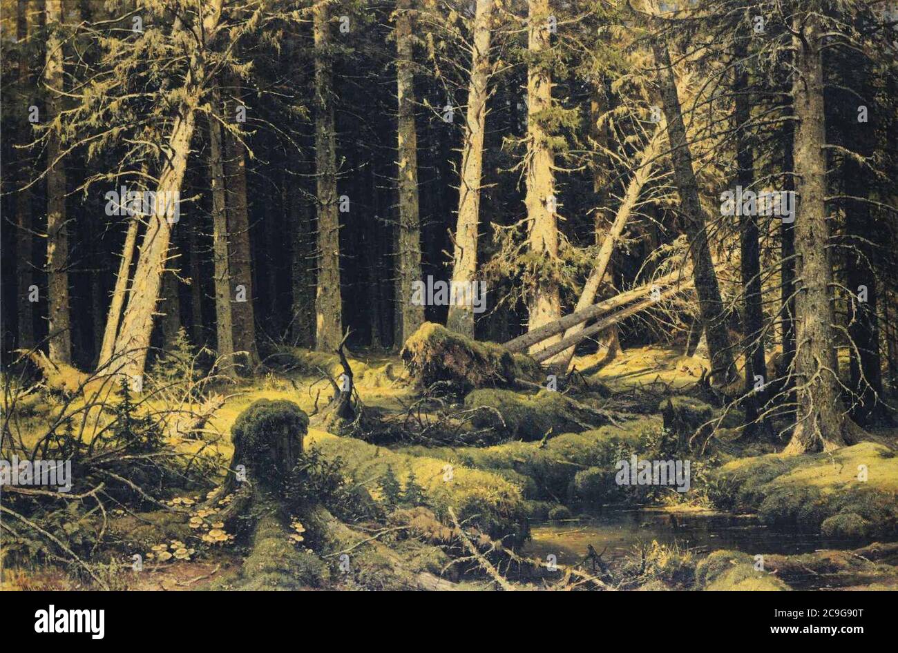 Ivan Shishkin - Vom Wind Gefallene Bäume. Stockfoto