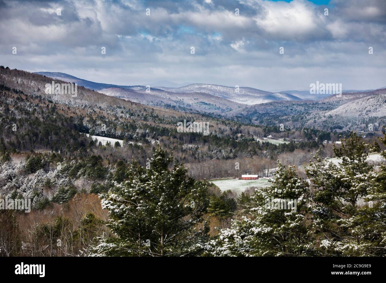Spätfrühlingsschnee in den Green Mountains in der Nähe von Woodstock, Vermont. Stockfoto