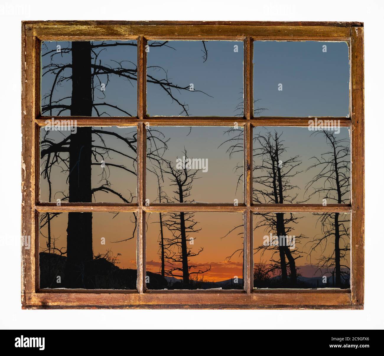 Sonnenuntergang Silhouette von verbrannten Kiefernwald, wie aus einem alten Hütte Fenster gesehen Stockfoto