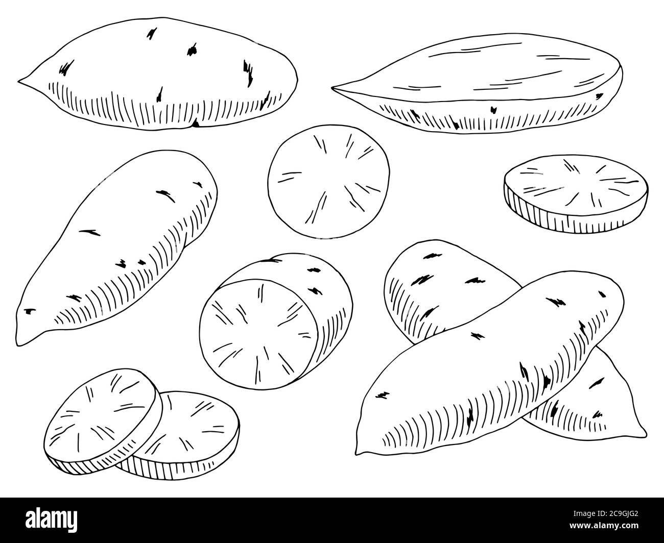 Süßkartoffel Gemüse Grafik schwarz weiß isoliert Skizze Illustration Vektor Stock Vektor