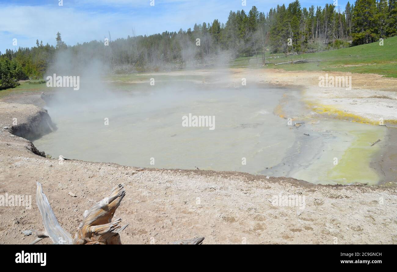 Spätfrühling im Yellowstone National Park: Dampf steigt aus dem Kesselbecken Muddy Pool im Schlammvulkan entlang der Grand Loop Road auf Stockfoto