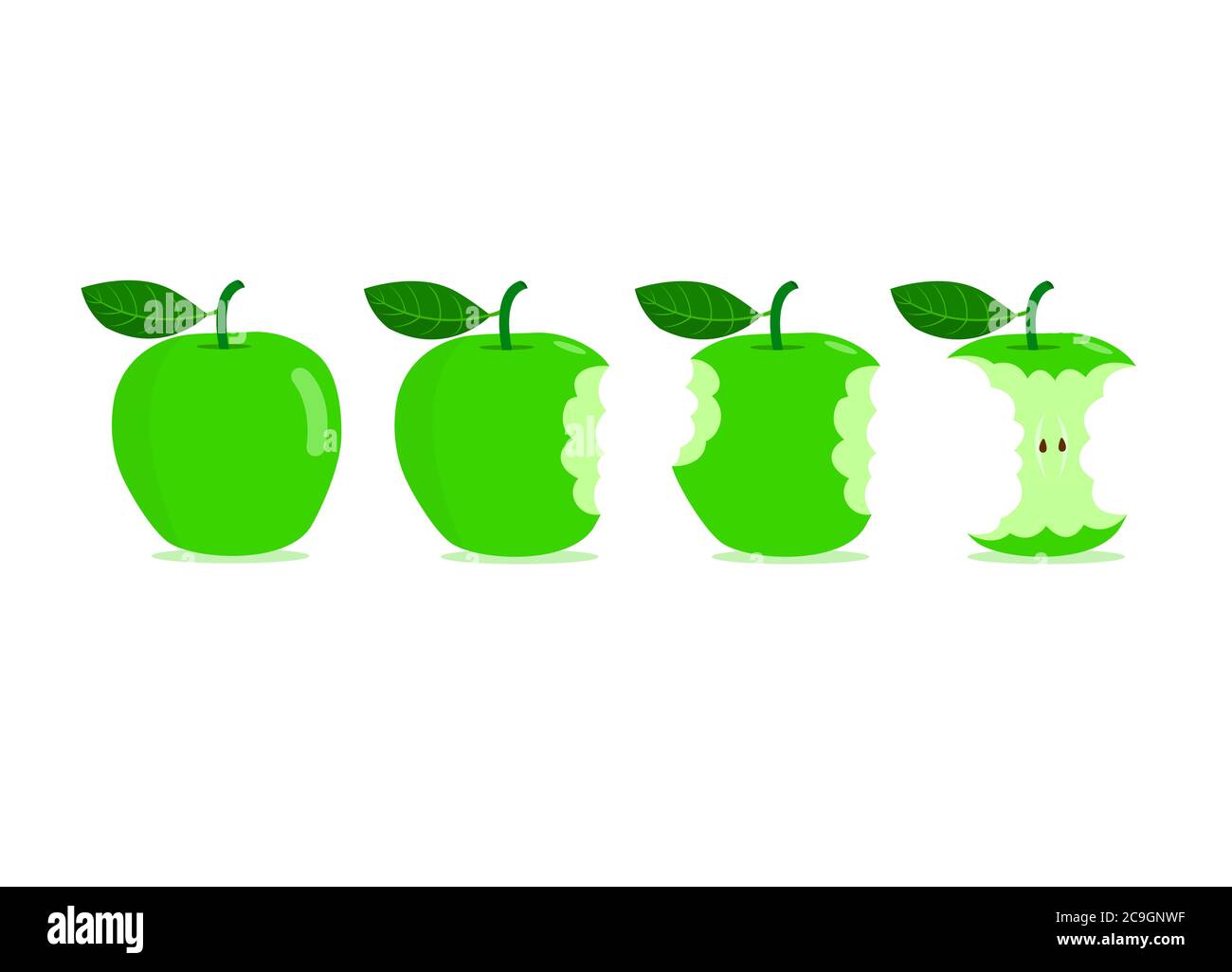 Grüne Äpfel mit Bissspuren isoliert auf weißem Hintergrund. Bissspuren auf grünen Äpfeln. Stock Vektor
