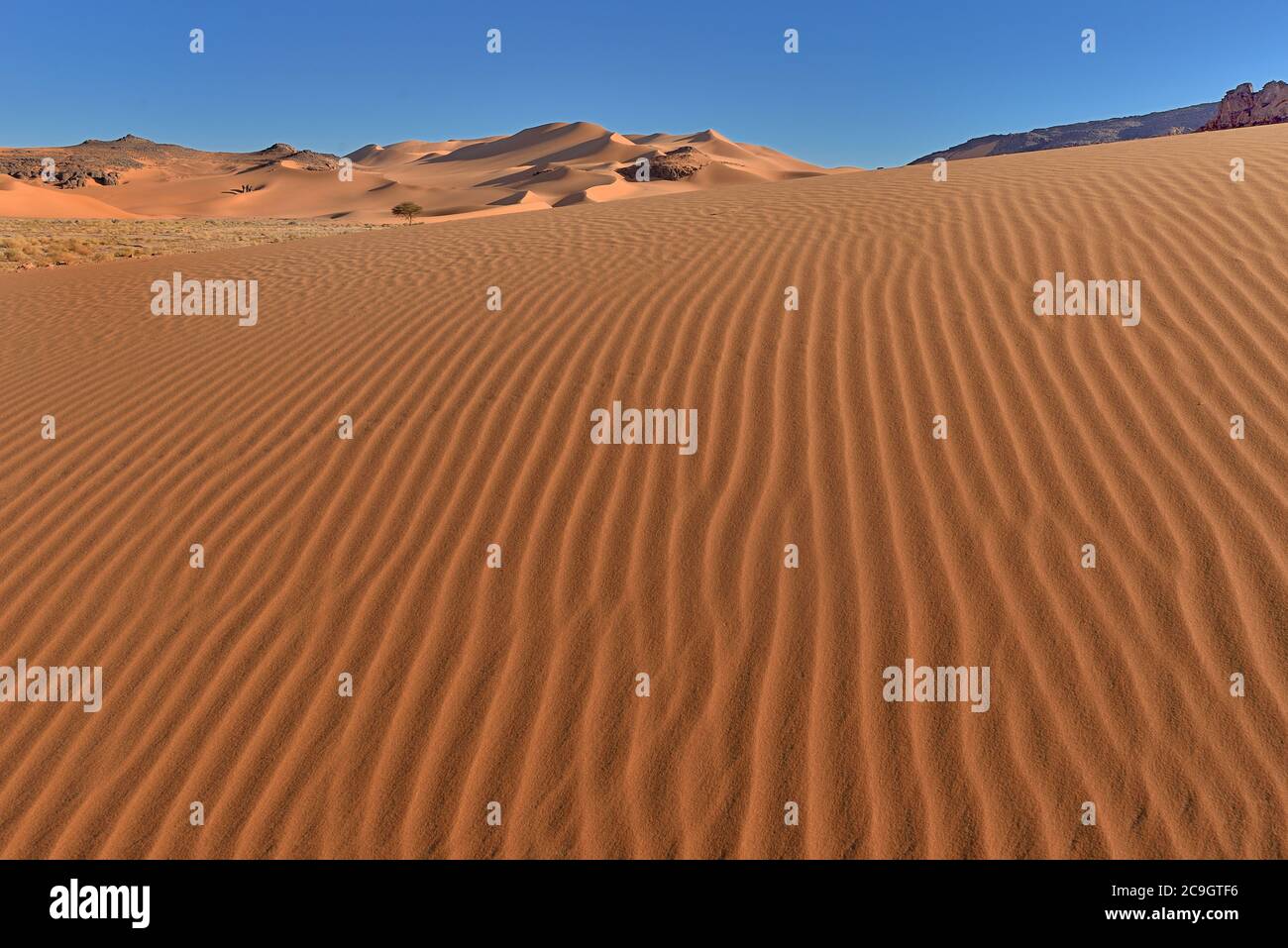 TADRART ROUGE, ALGERIEN. SAHARA-WÜSTE. ZINN MERZOUGA UND MOUL N AGA WÜSTENDÜNEN UND SANDMUSTER. Stockfoto