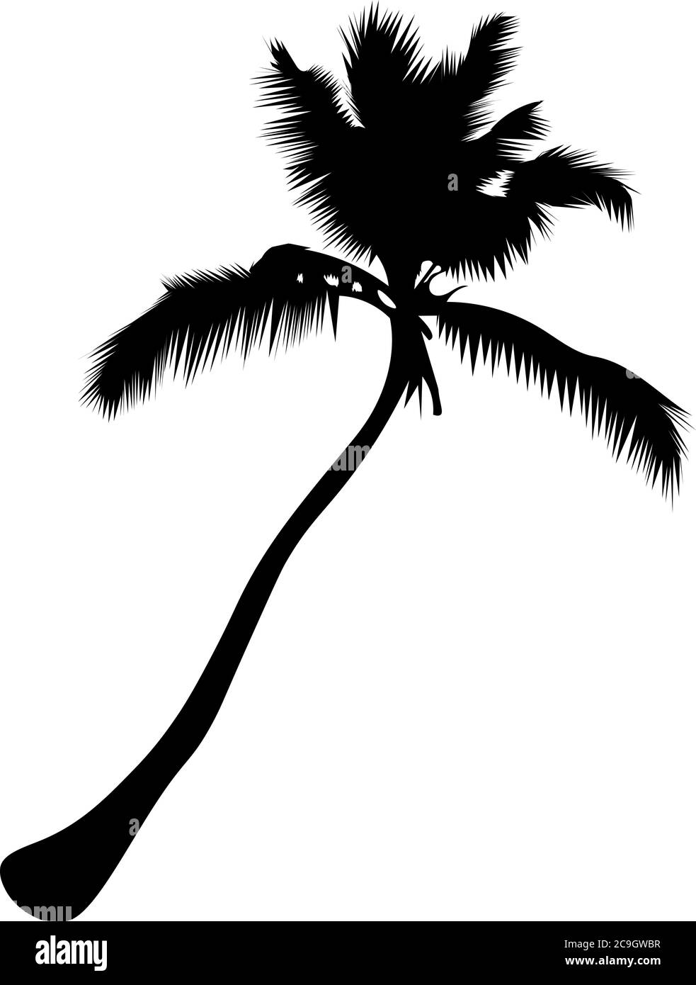 Palm Tree Isolate auf weißem Hintergrund Stock Vektor